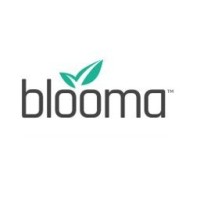 Blooma.ai logo