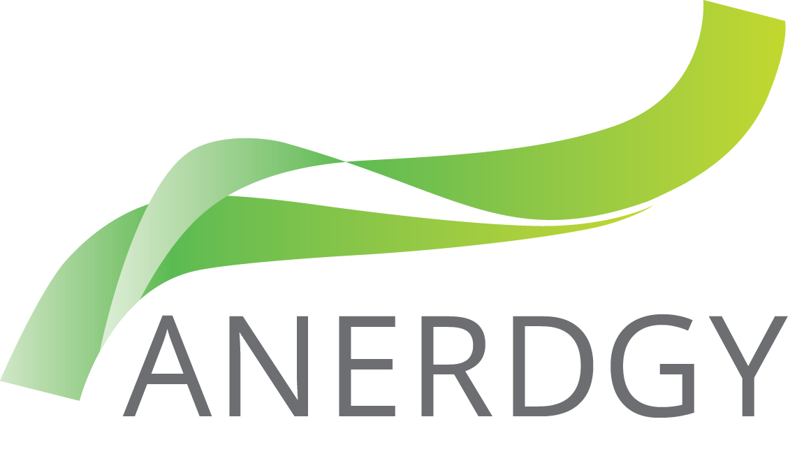 Anerdgy logo