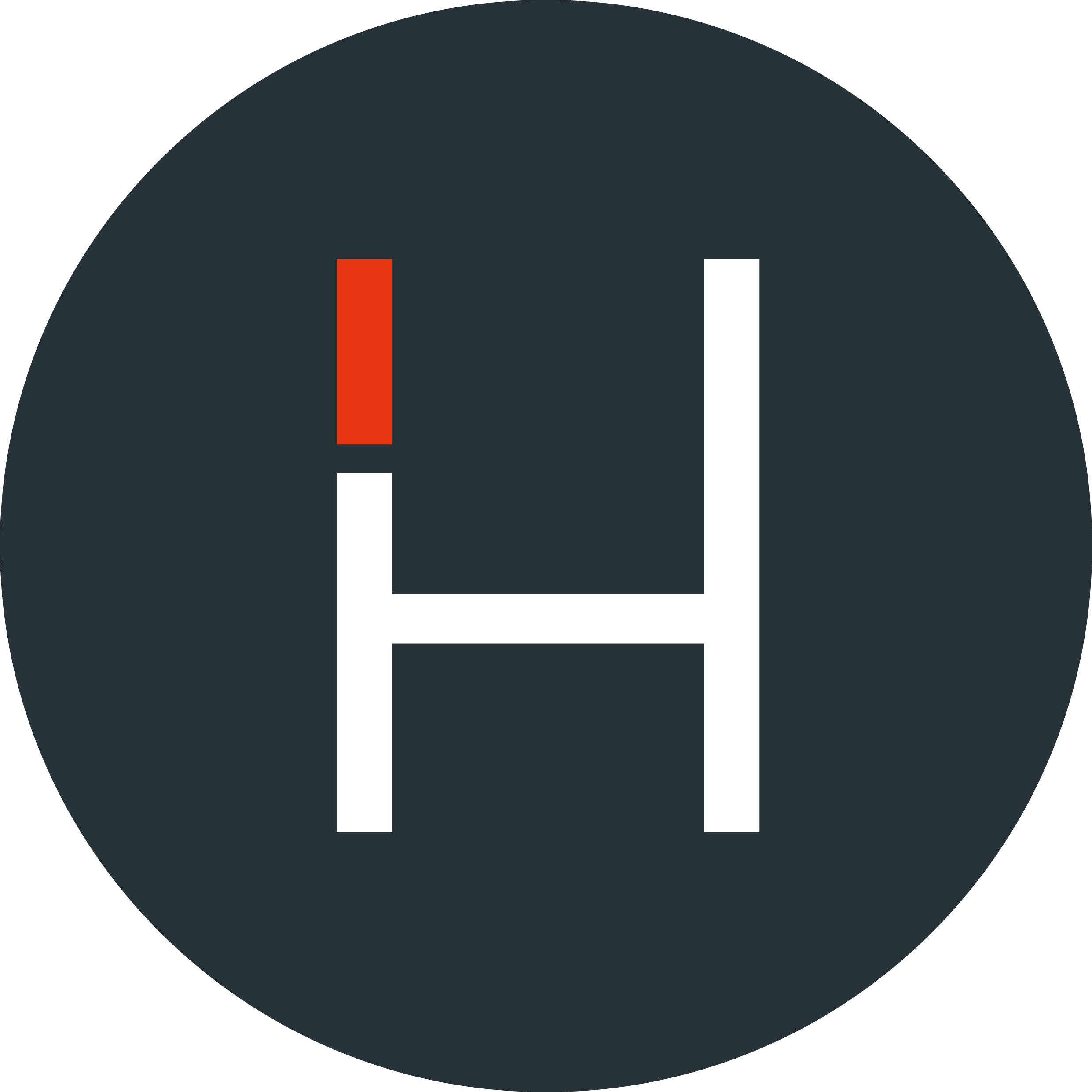Homyze logo