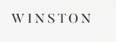 Winston logo