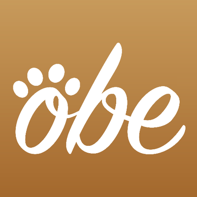 Obe, Inc. logo