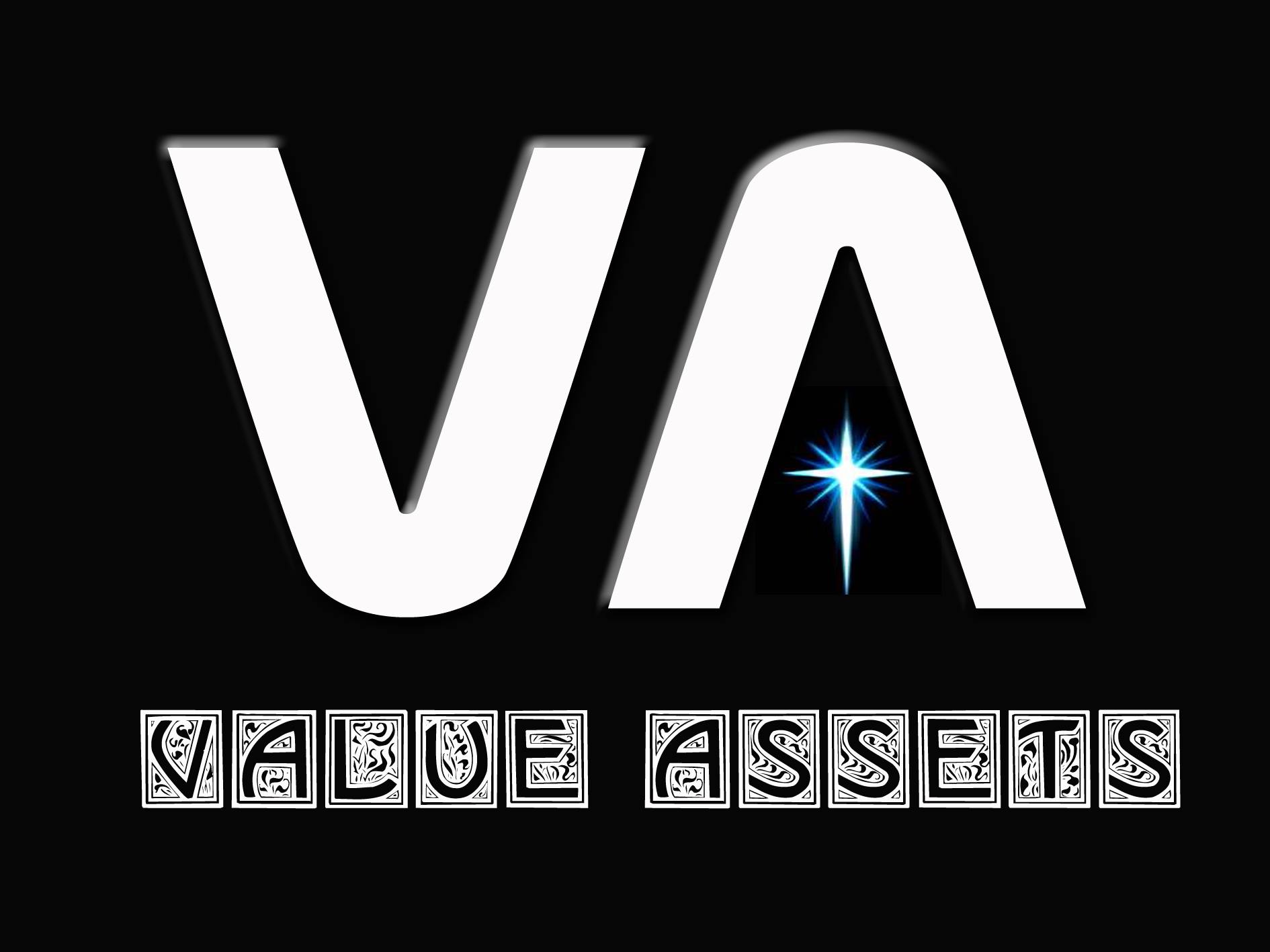 Value Assets logo