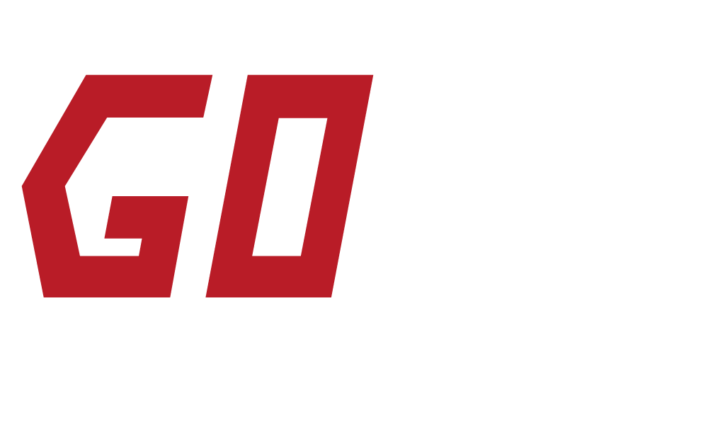GLOBAL ONLINE INVESTOR ROADSHOW (GOIR) logo