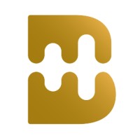 Brainsre logo