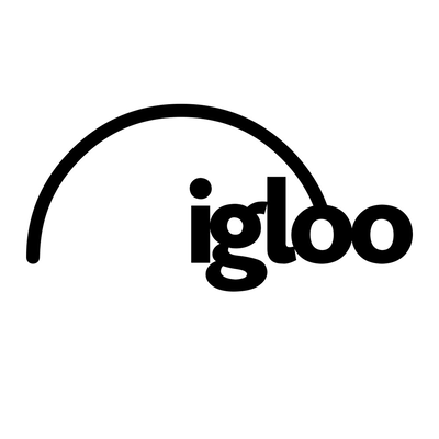 Igloo Vision Ltd logo