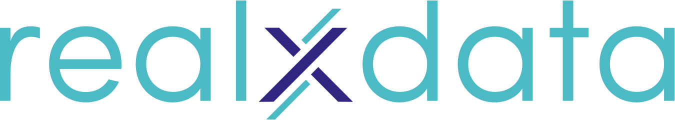 realxdata logo