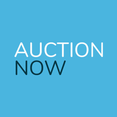 AuctionNow logo