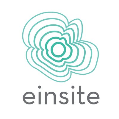 Einsite logo