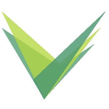 Vivados logo