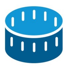 SHOWHOUZ logo