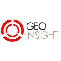 Geoinsight logo