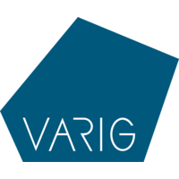 Varig logo