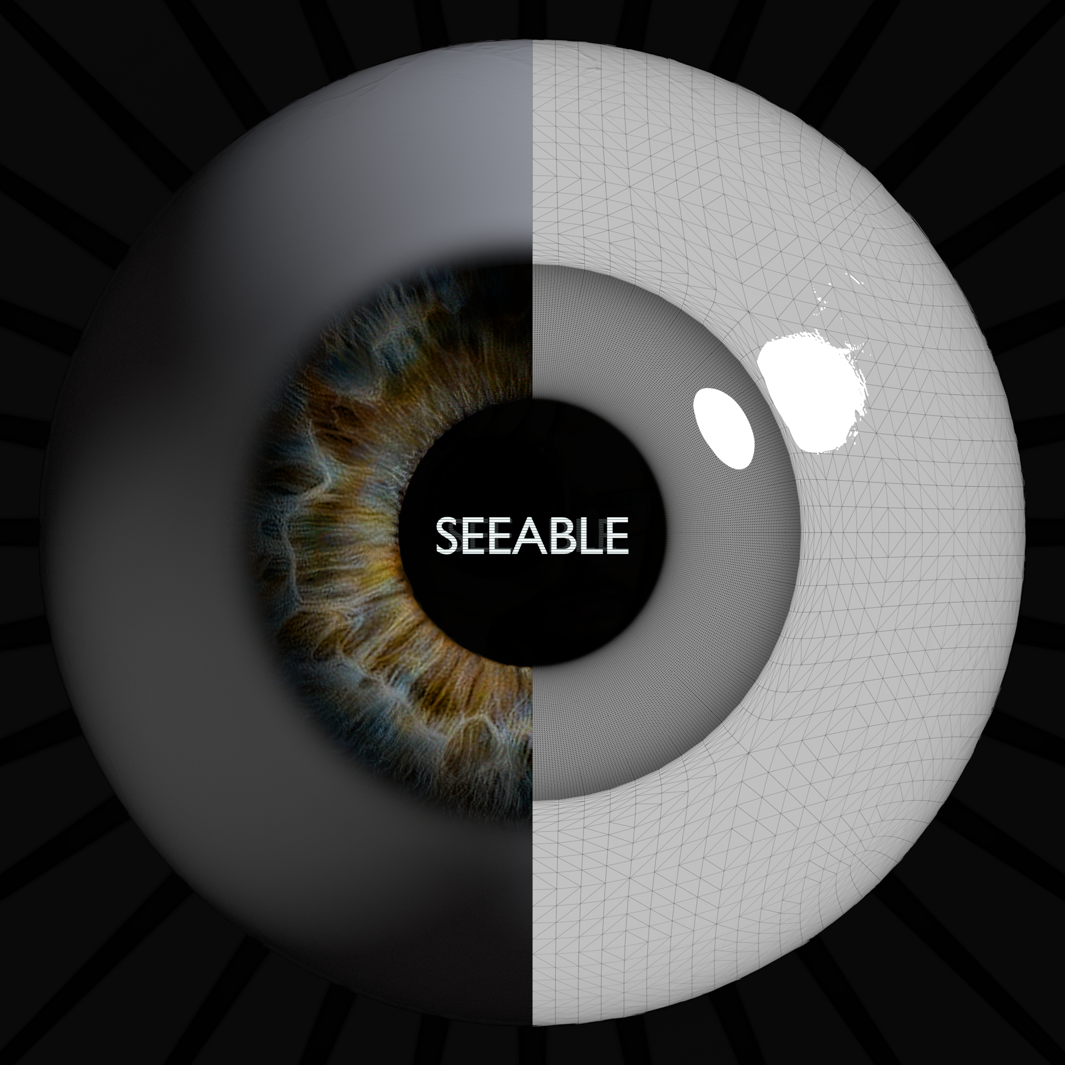 Seeable logo