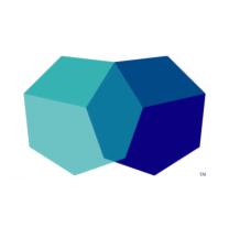 Synergize Insights logo
