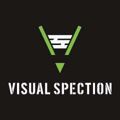 Visual Spection logo