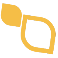 VSight Remote logo