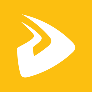 DSV logo