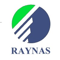 Raynas Infra and Geomatics Services Pvt. LTD. logo