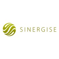 Sinergise logo