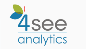 4see Analytics logo