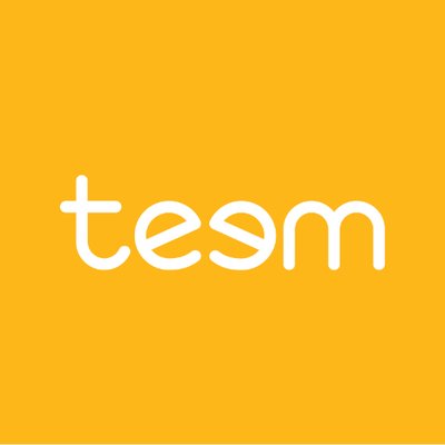 Teem logo