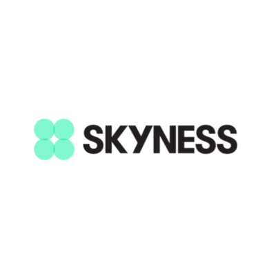 Skyness logo