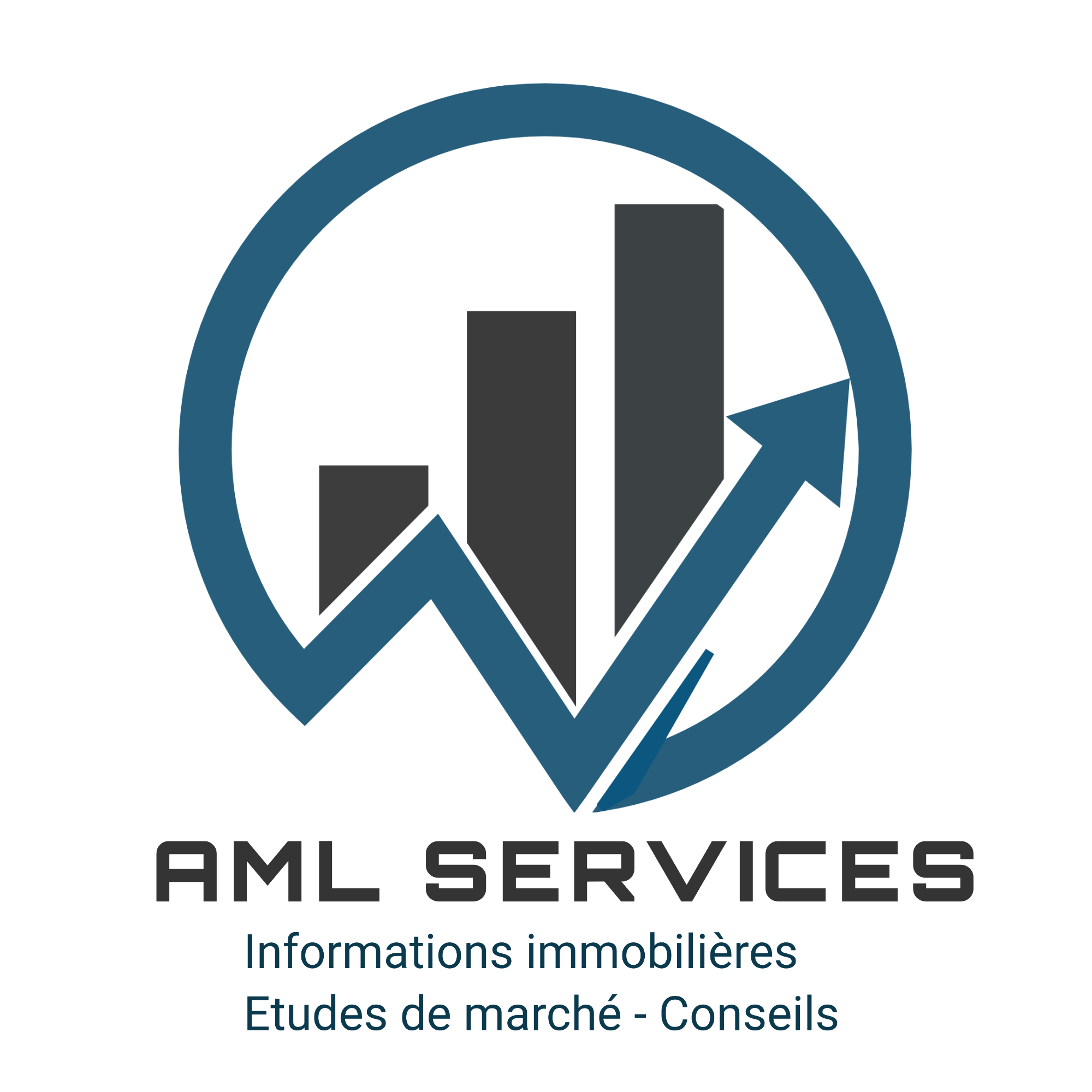 AML SERVICES logo