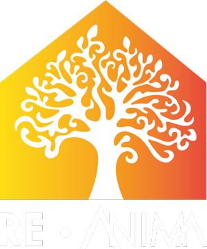 Re-Anima logo